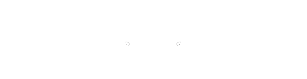 Twin Rhino Double Logo White