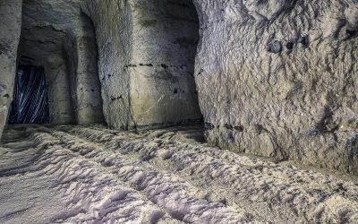 The Time When Mushrooms Grew Underground In Belgium