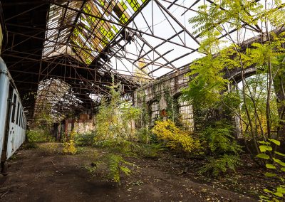 Red Star Train Graveyard Hungary